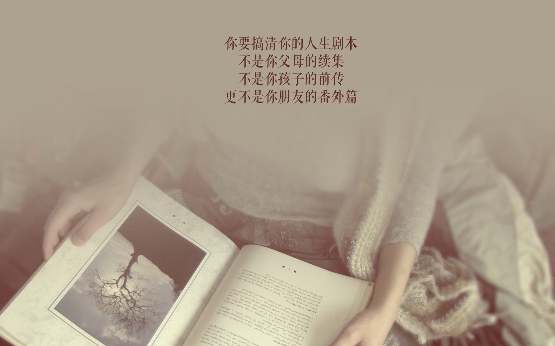 _美网激战正酣:顶级明星现场较量_,美网集锦