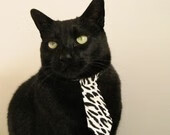 城市公共篮球场覆盖率持续提升，提升全民健身便利度，公共篮球场标准